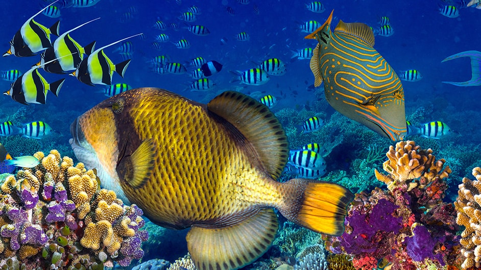 fybroc-industria-spotlight-marca